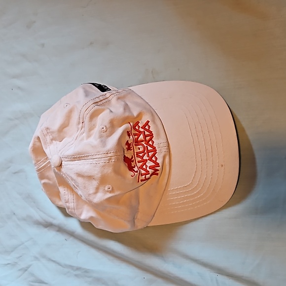 Disney Other - Disney Lion King hat